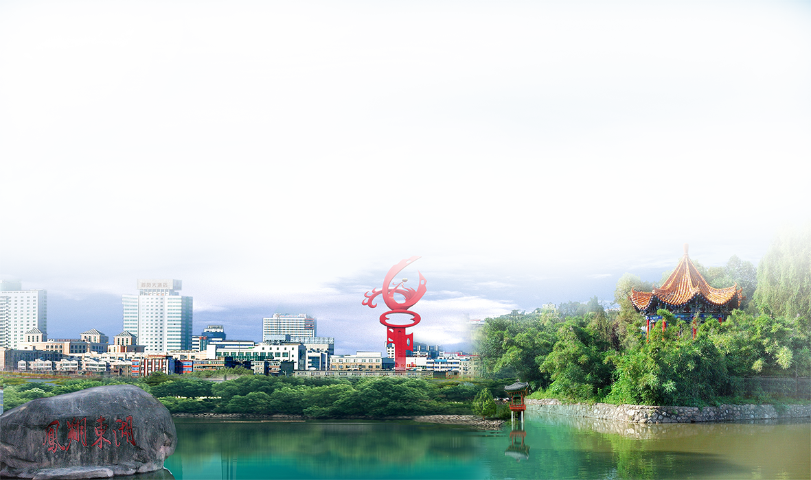 鳳翔高新區(qū).png